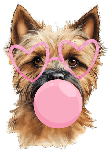 Cairn Terrier