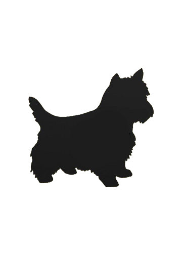 Cairn Terrier