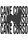 Cane Corso