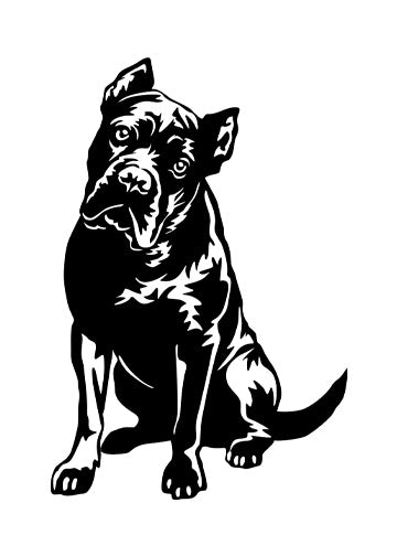 Cane Corso