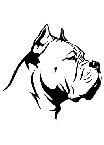 Cane Corso