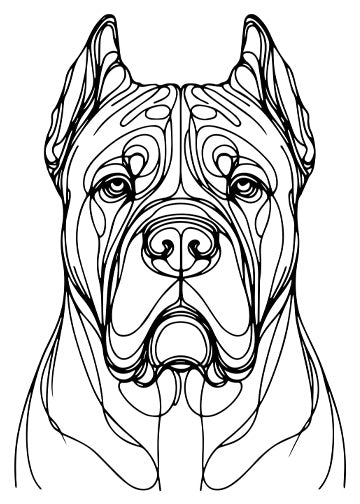 Cane Corso