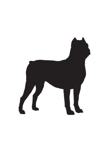 Cane Corso