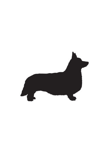 Cardigan Welsh Corgi