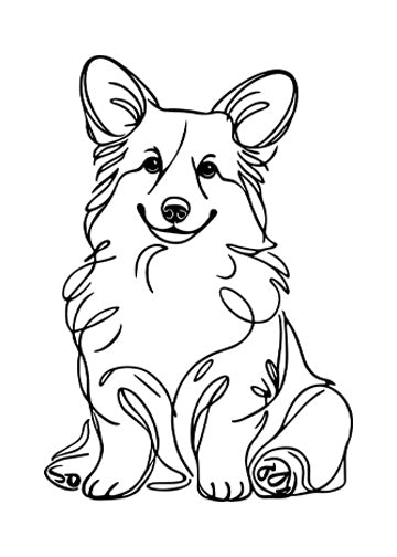 Cardigan Welsh Corgi