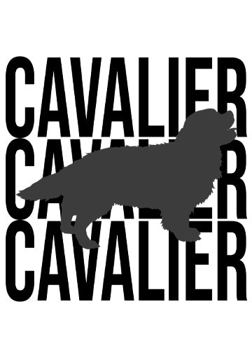 Cavalier King Charles Spaniel