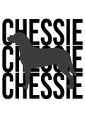 Chesapeake Bay Retriever
