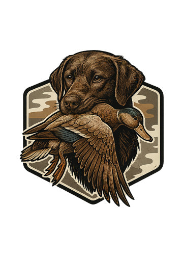 Chesapeake Bay Retriever