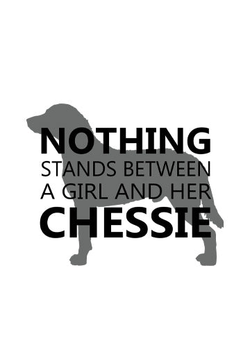 Chesapeake Bay Retriever