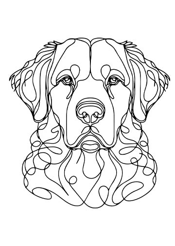 Chesapeake Bay Retriever