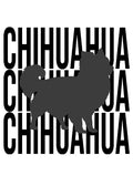 Chihuahua (Long Haired)