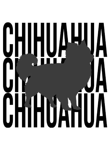 Chihuahua (Long Haired)