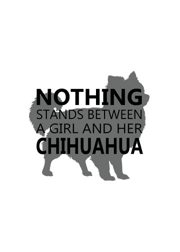 Chihuahua (Long Haired)