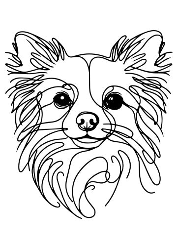 Chihuahua (Long Haired)
