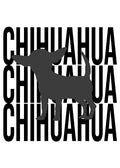 Chihuahua (Smooth)