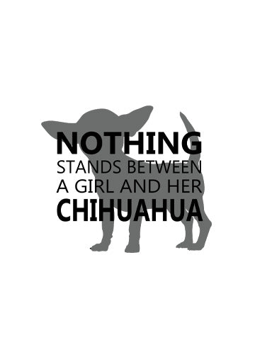 Chihuahua (Smooth)