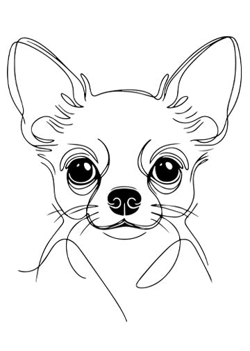 Chihuahua (Smooth)