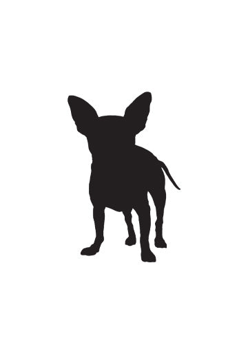 Chihuahua (Smooth)