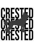 Chinese Crested