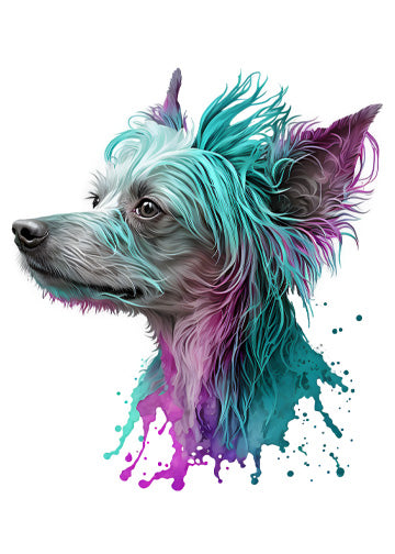 Chinese Crested