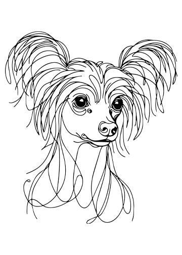 Chinese Crested