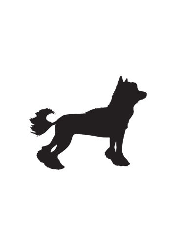 Chinese Crested