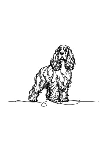 Cocker Spaniel (English)