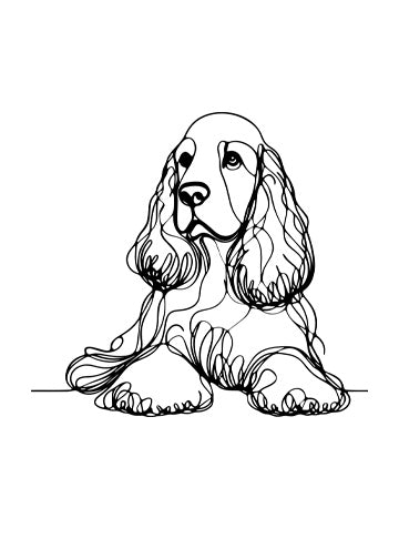 Cocker Spaniel (English)