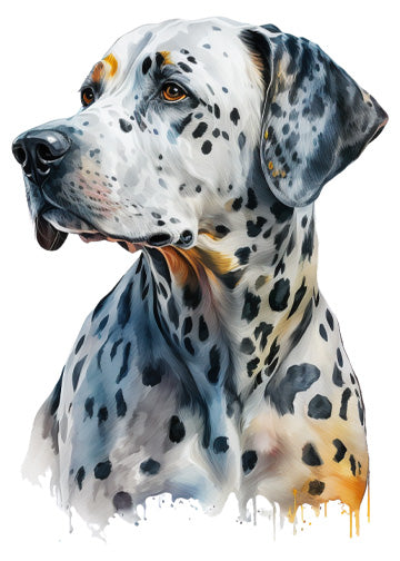 Dalmatian