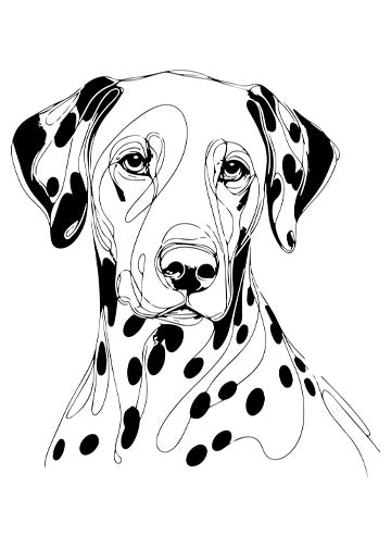 Dalmatian
