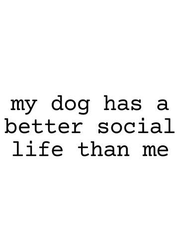 My Dog's Social Life