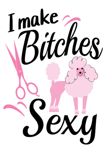 I Make Bitches Sexy