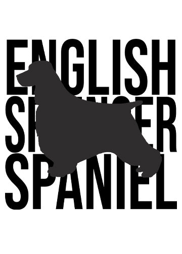 English Springer Spaniel