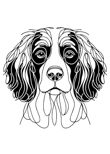 English Springer Spaniel