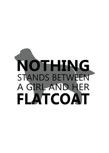Flat-Coated Retriever