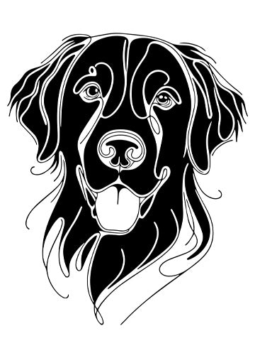 Flat-Coated Retriever