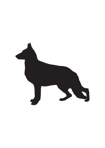 German Shepherd Dog