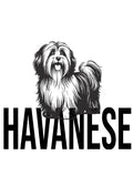 Havanese