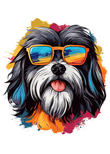 Havanese
