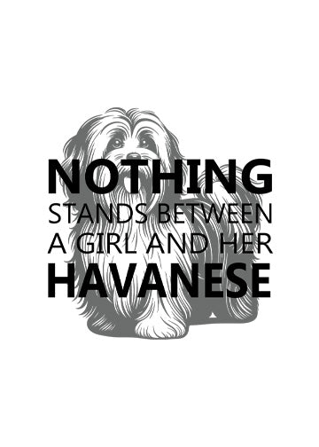 Havanese