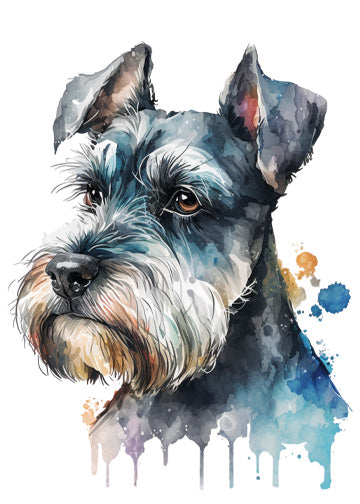 Miniature Schnauzer