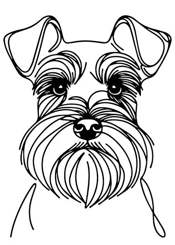 Miniature Schnauzer