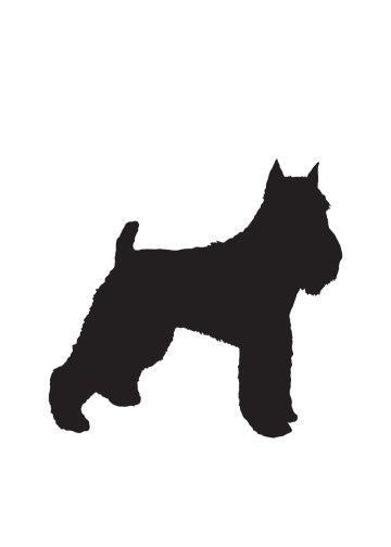 Miniature Schnauzer