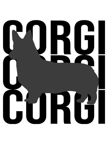 Pembroke Welsh Corgi