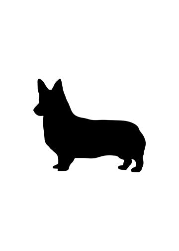 Pembroke Welsh Corgi