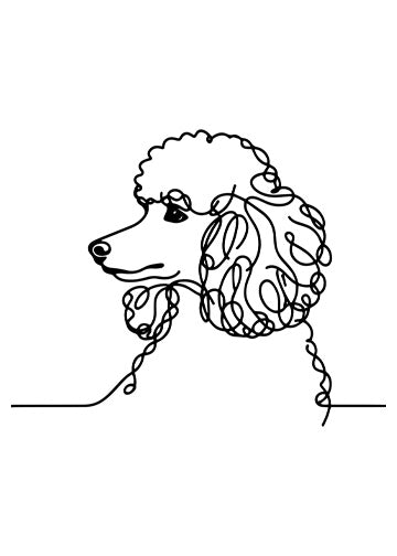 Poodle