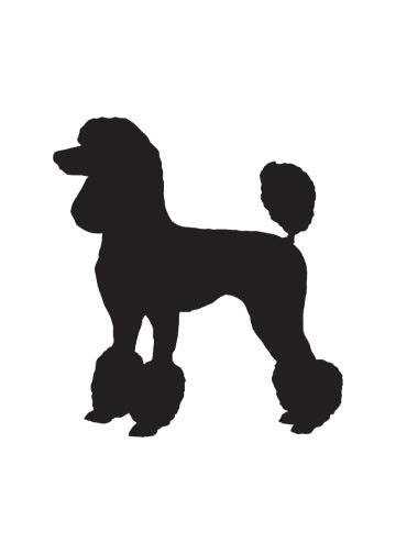 Poodle