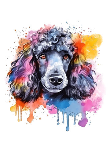 Poodle