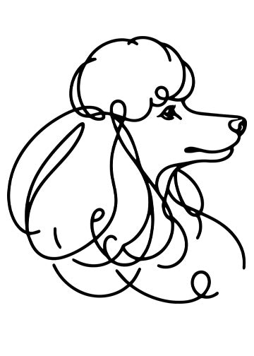 Poodle