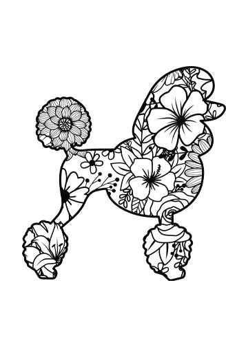 Poodle